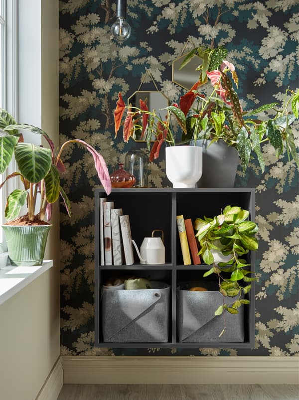 A dark grey EKET shelf unit mounted on the wall next to a window with plants on top of it and inside it, together with books.