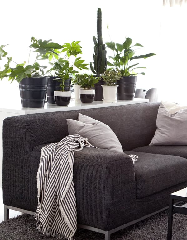 A dark grey sofa with cushions and a stripy throw and sideboard lined with potted plants.