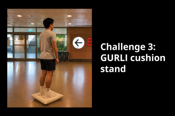 A demostration of Endurance Challenge 3: GURLI cushion stand