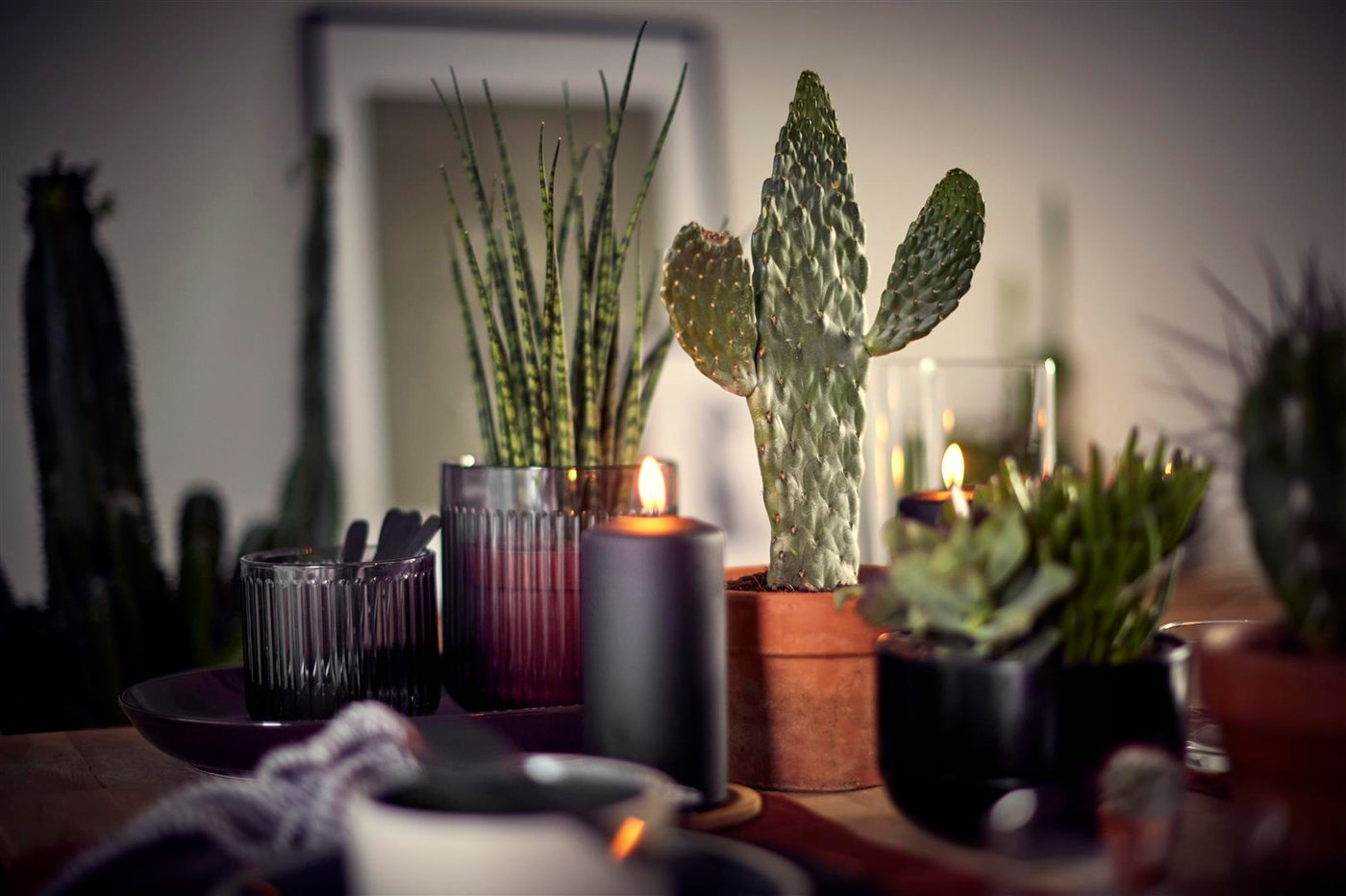 A dining setting with a lit black candle with a cactus and two house plants next to it.
