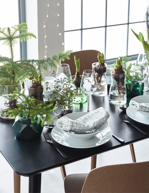A dinner table decorated with flower bulbs and different glass vases including TIDVATTEN and BERÄKNA clear glass vases.
