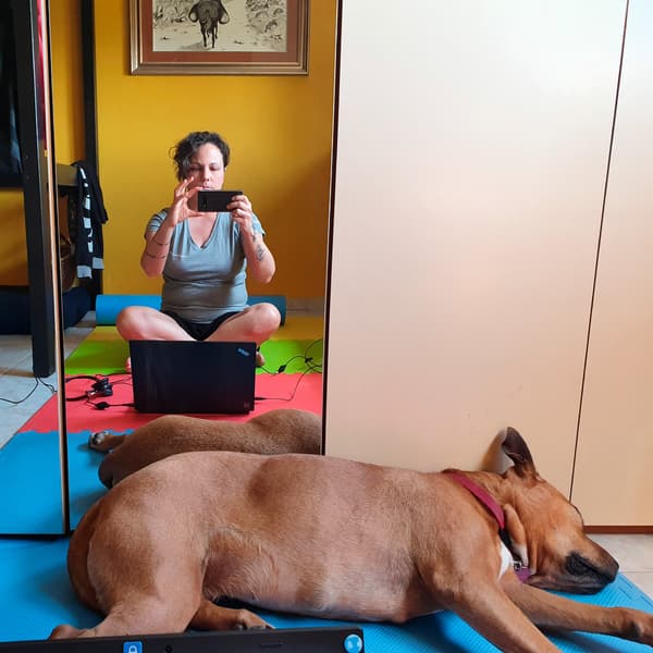A dog is lying in front of a mirror. In the mirror a woman is sitting behind her laptop and taking a picture of the dog.