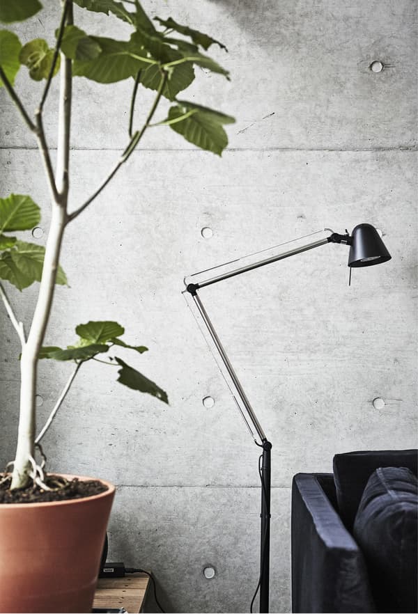 A floor lamp and large potted plant next to a grey wall.
