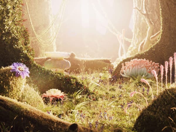 A forest with colorful exotic plants and the sun shining through.