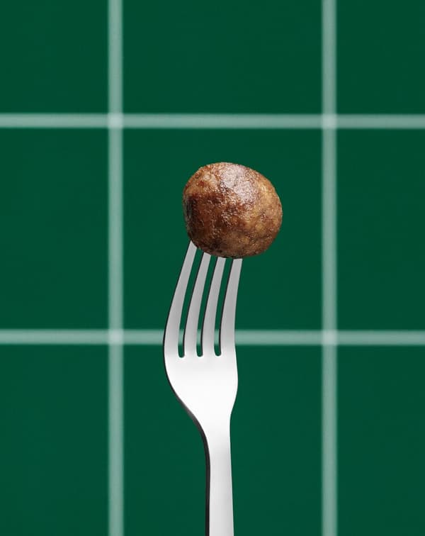 A fork with a plant ball on it