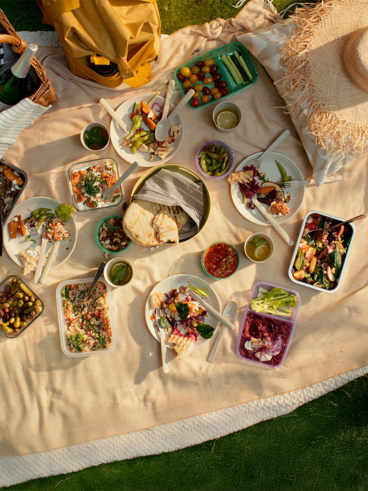 A green and purple PRUTA food container as a Christmas gift