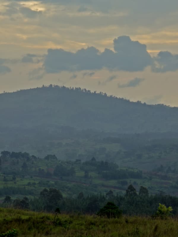 A green hilly rural landscape covered in fields and trees. The sky is cloudy with low clouds above the hills on the horizon.