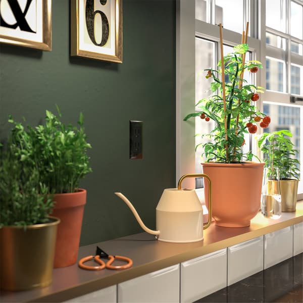 A green kitchen with tomatoes and herbs in red-brown and gold-coloured plant pots and a gold/ivory-coloured watering can.