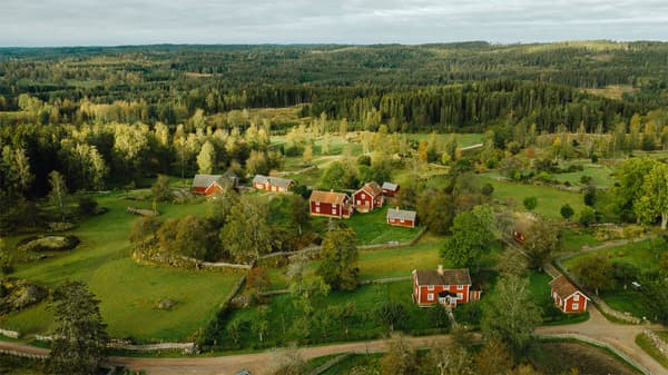 A green landscape with typical red Swedish houses.