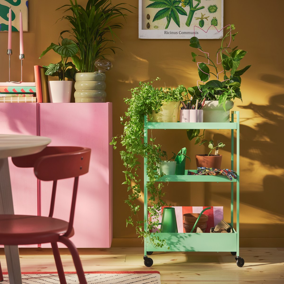 A green NISSAFORS trolley styled with potted plants and gardening items, standing in a sunlit room.