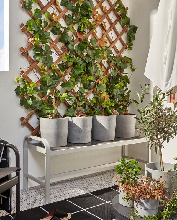 A grey/dark grey SJÄLLAND bench with four grey plant pots with green plants that grow up along a wooden trellis.