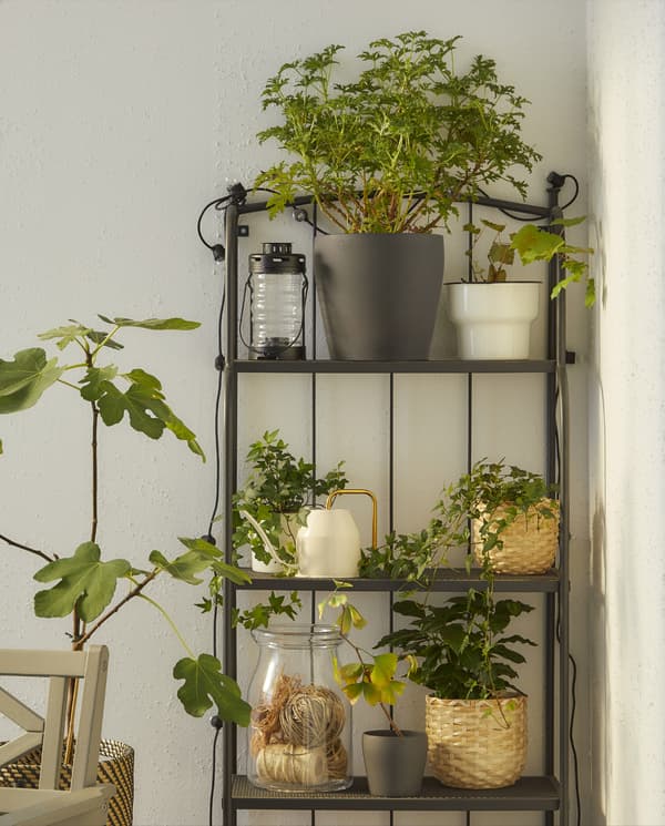 A grey shelving unit with a lantern, a glass jar, a white watering can and different plant pots with green plants.