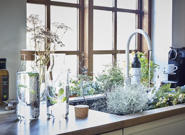 A kitchen sink filled with greenery.