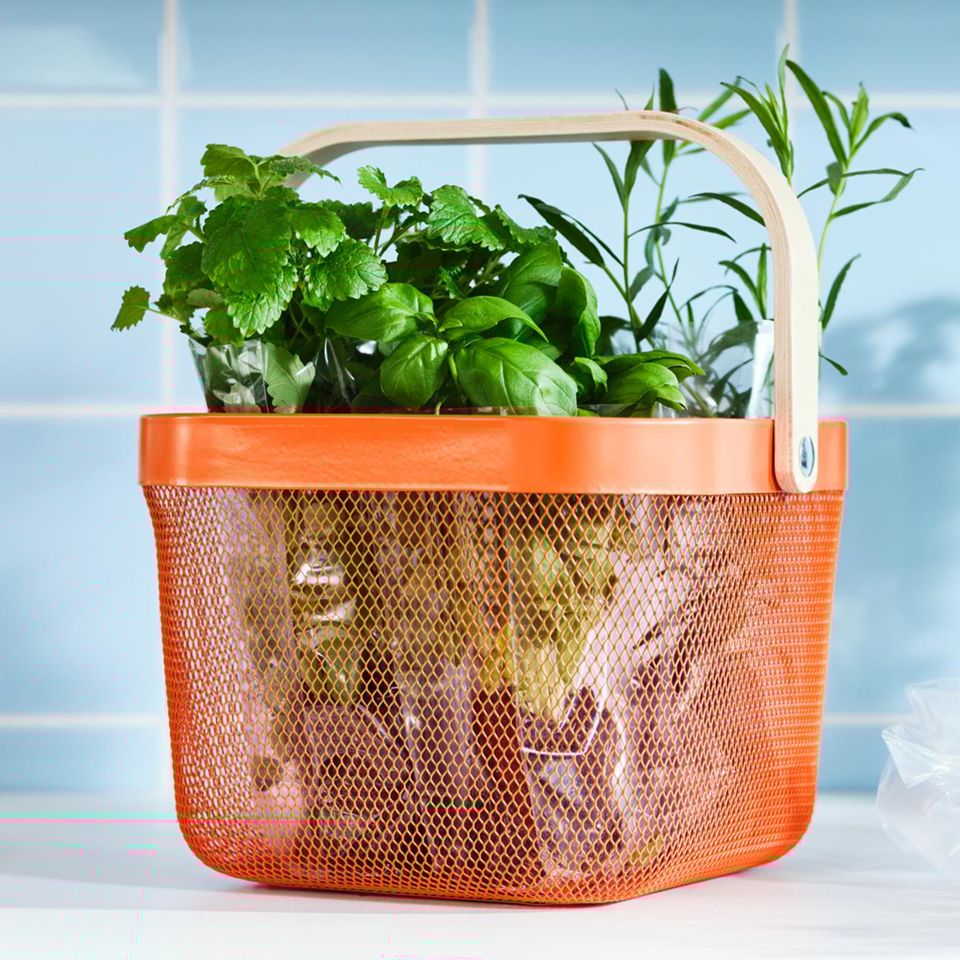 A kitchen top with green herbs inside a bright orange RISATORP basket in steel mesh with a handle made from birch veneer.