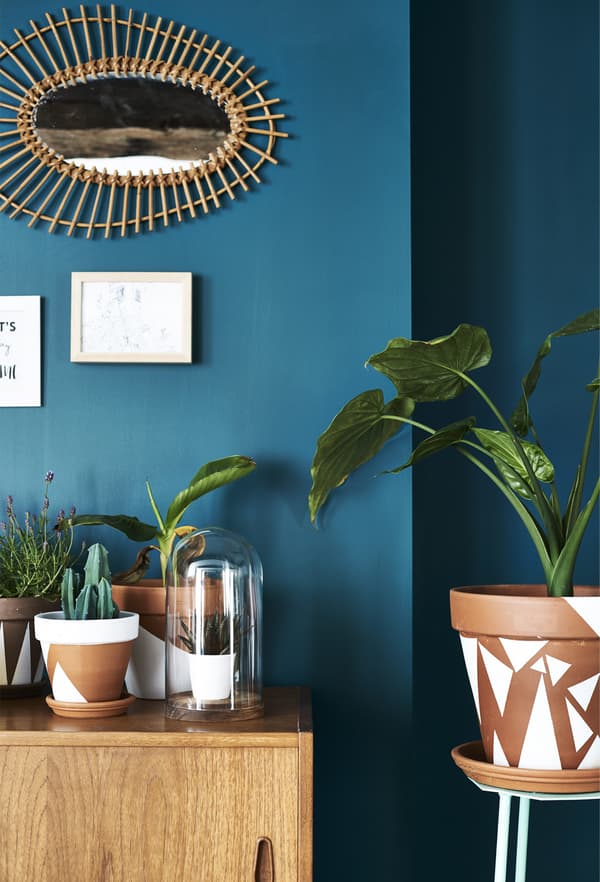 A large monstera plant in a painted terracotta pot against a bright blue wall.