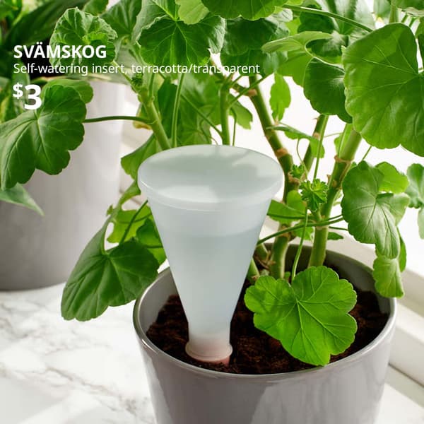 A leafy potted plant with aSVÄMSKOG self-watering insert, terracotta/transparent, 25 cl. Price: $3