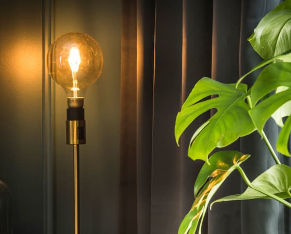 A lightbulb attached to a stand.