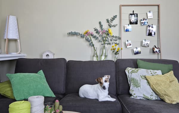 A living room with grey sofa and green cushions