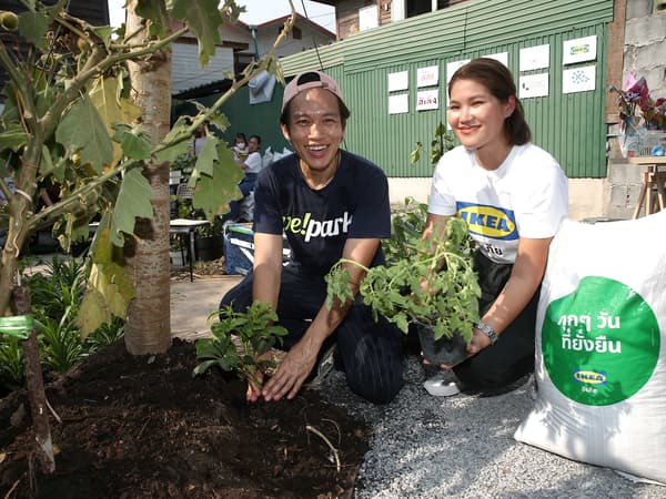 A man and a woman in Thailand composting old IKEA Christmas trees to grow a new garden in a public park.