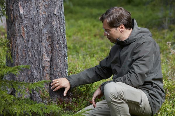 A man wearing glasses sits next to a tree on a forest bed. He is inspecting the trunk of the tree by touching it.