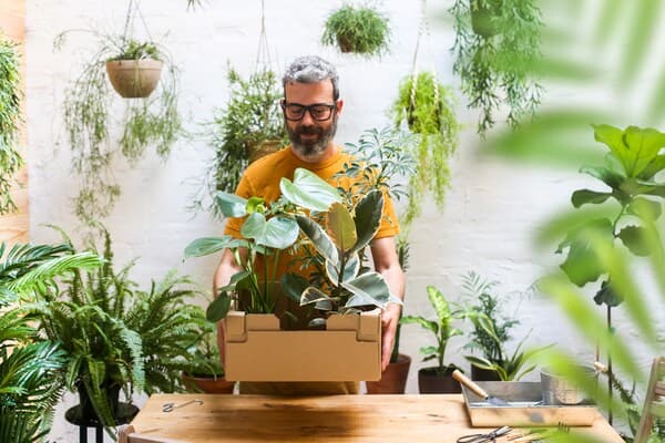 A man with green plants creating a garden set-up