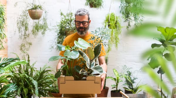 See all plants 