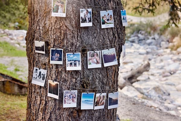 A metal wire is wrapped around a tree, with polaroid pictures clipped to it.