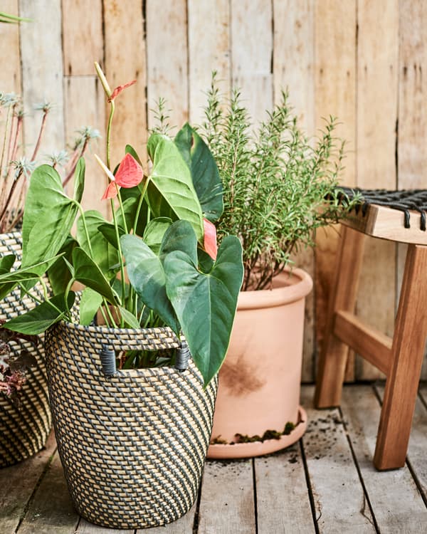 A mix of terracotta and natural fibre plant pots on an outdoor decking area next to a wood stool with black rope weave seat.