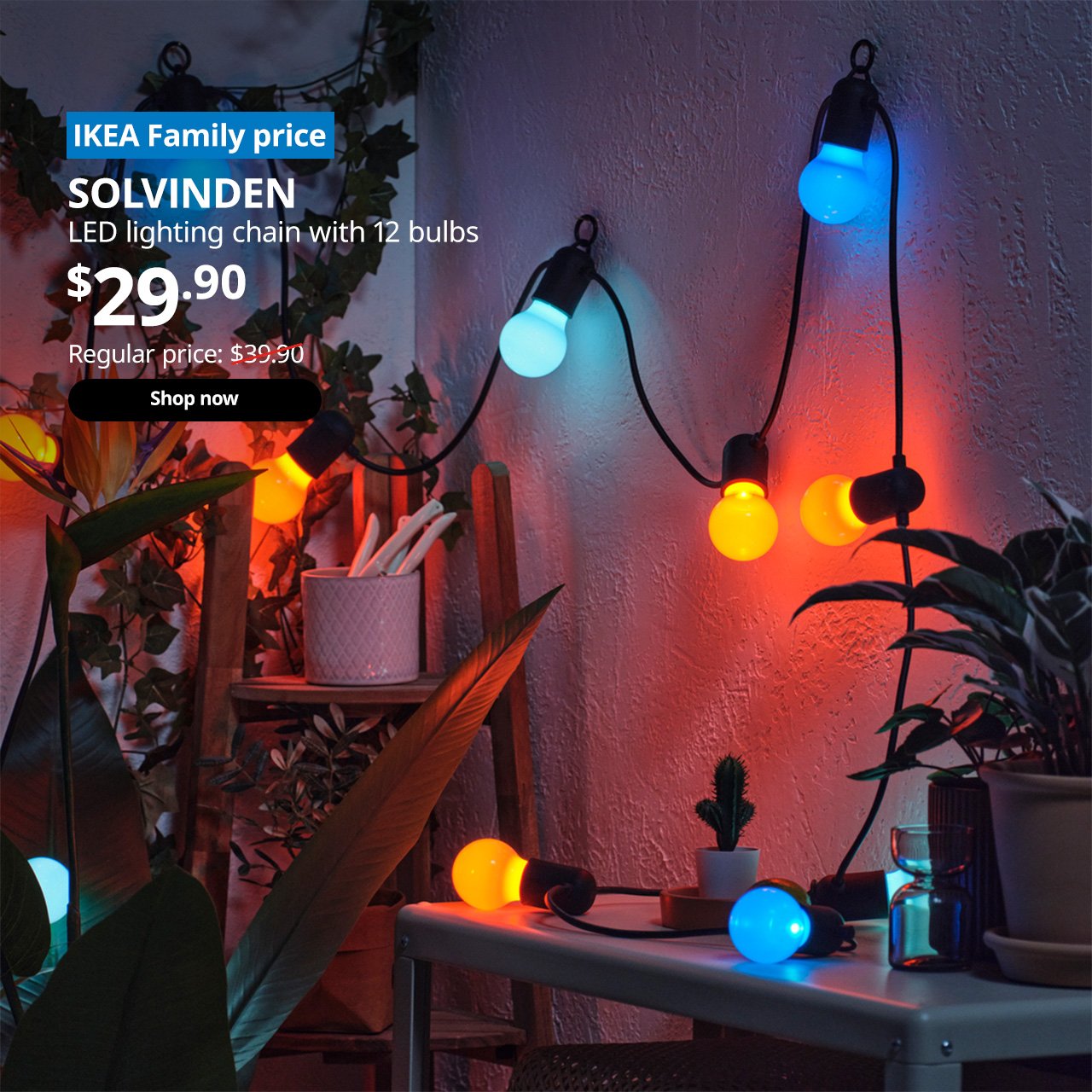 A multicolour SOLVINDEN LED lighting chain. On the top left corner, a blue tag with white text that reads "IKEA Family price", followed by white text overlaying the image that reads "SOLVINDEN, LED lighting chain with 12 bulbs, $29.90, Regular price $39.90"