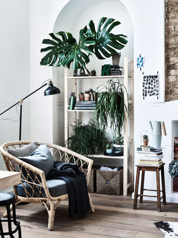 A neutral coloured living space with pale wood and plants.