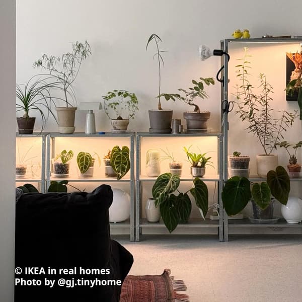 A number of galvanised HYLLIS shelving units being use to house homeowner @gj.tinyhome plants. IKEA in real homes Photo by @gj.tinyhome.