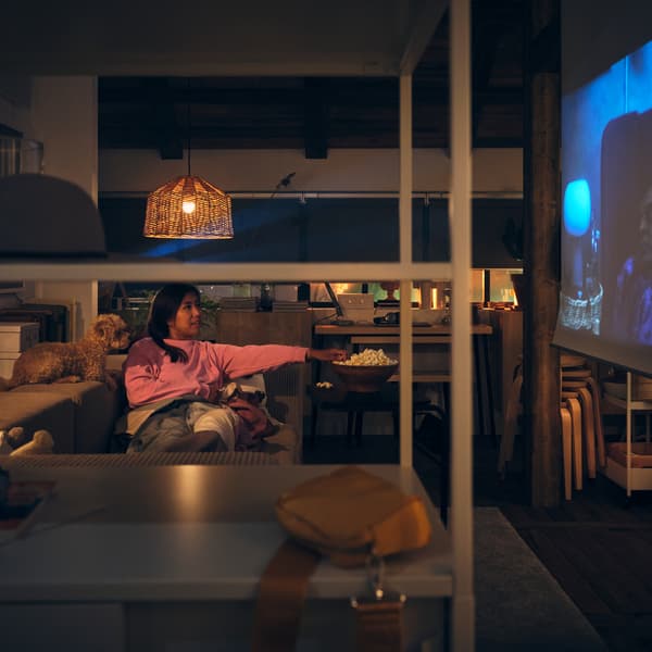 A person and a dog lying on a JÄTTEBO 3-seat modular sofa watching a show projected on a white TRETUR block-out roller blind.