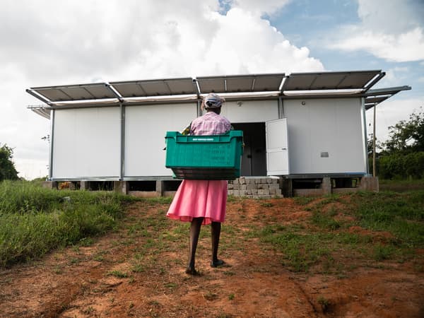 A person wearing a pink skirt and carrying a green plastic crate walks up a hill towards a white single storey building.