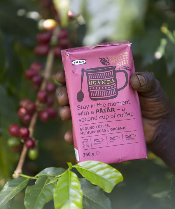 A pink packet of IKEA PÅTÅR White Nile coffee among the coffee bean plants.