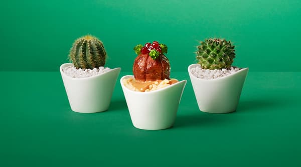 A plant ball in between 2 cactus