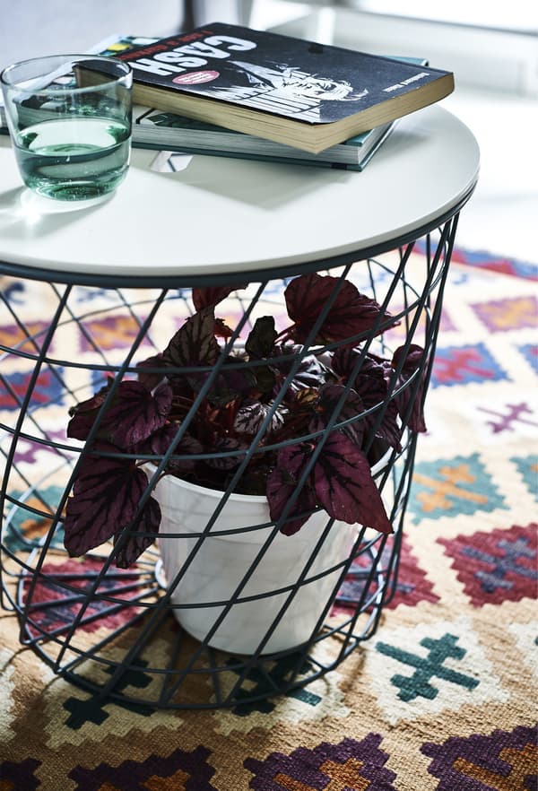A plant inside the base of a coffee table on a patterned rug.