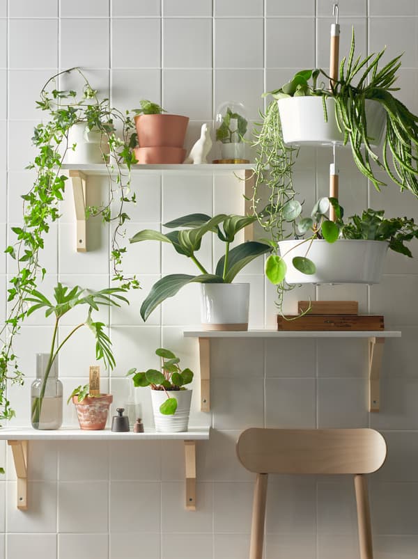 A plant wall made with three shelves on different heights and a white BITTERGURKA hanging planter filled with green plants.