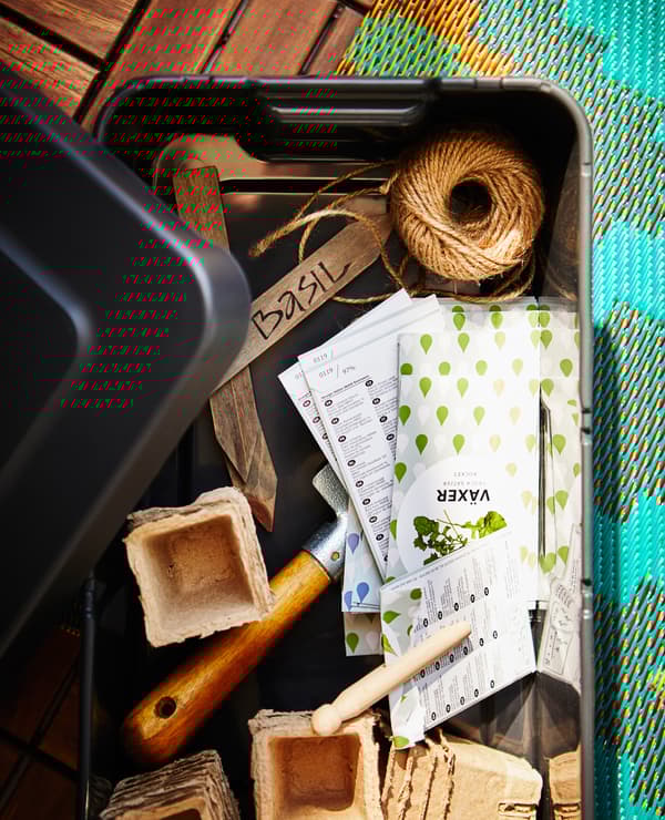 A plastic box is filled with gardening supplies.