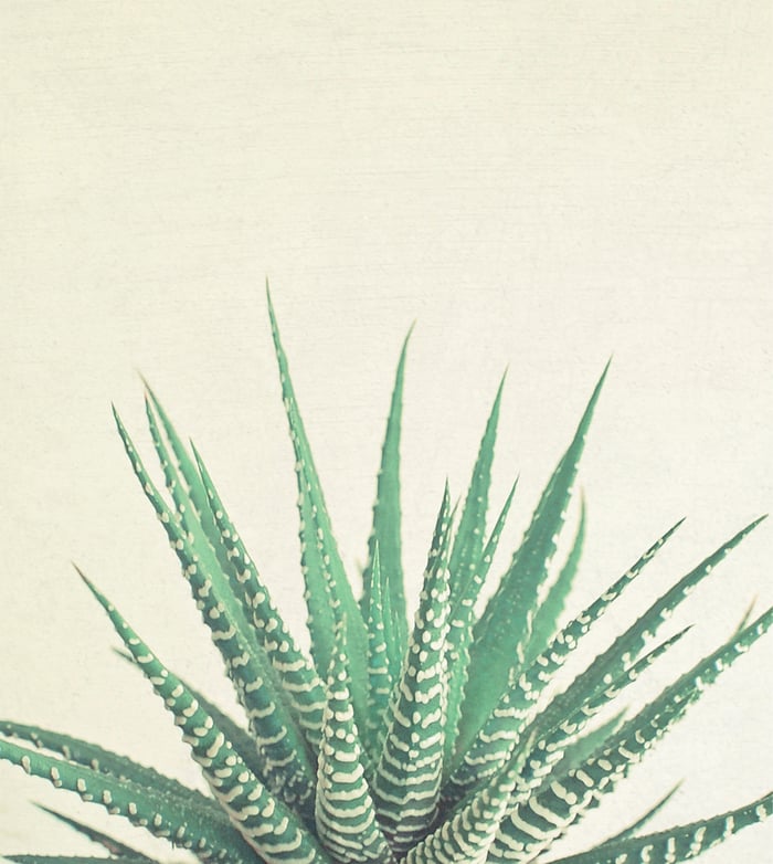 Refresh a room with new artwork IKEA CA