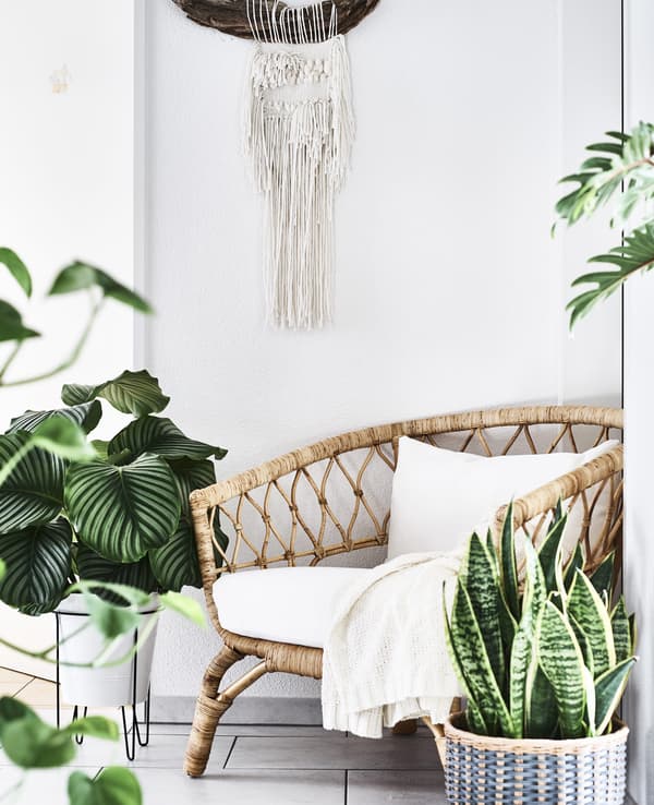 A rattan chair surrounded by pot plants.