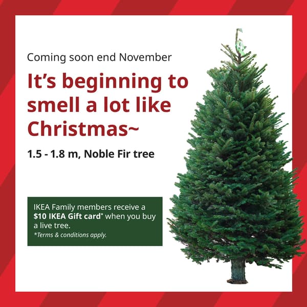 A red stripes background with text that reads 'Coming soon end November. It's beginning to smell a lot like Christmas~ 1.5~1.8m, Noble Fir tree.' On the bottom left, a green box with white text that reads 'IKEA Family members receive a $10 IKEA Gift card* when you buy a live tree. *Terms & conditions apply.'