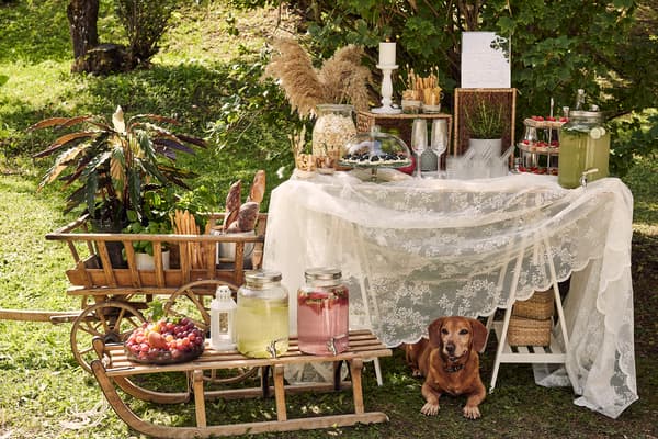A richly decorated bar provides refreshments and snacks. Two trestles, a board and a romantically draped lace curtain become the stage for your appetisers and drinks. 