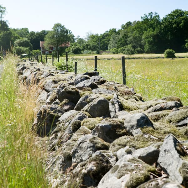 A rock wall in a meadow with forests in the background located in Småland, Sweden.
