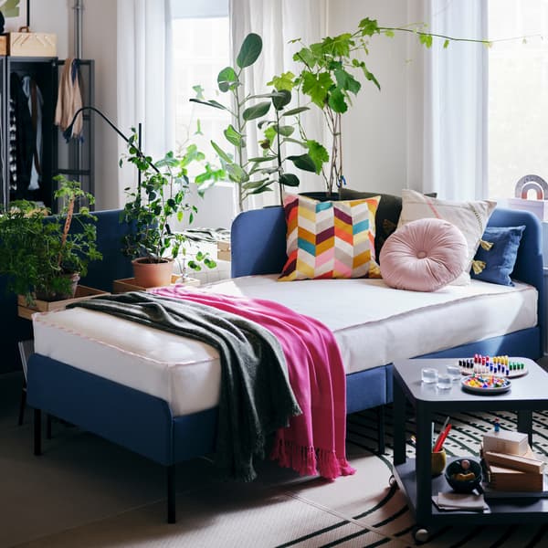 A room with a BLÅKULLEN bed with multicoloured cushions, a coffee table, windows with curtains and green plants.