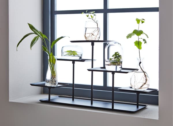 A SAMMANHANG stand can make plant cuttings just as decorative as flowers in full bloom.