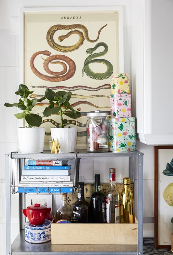 A shelving unit with pot plants, tins and books.