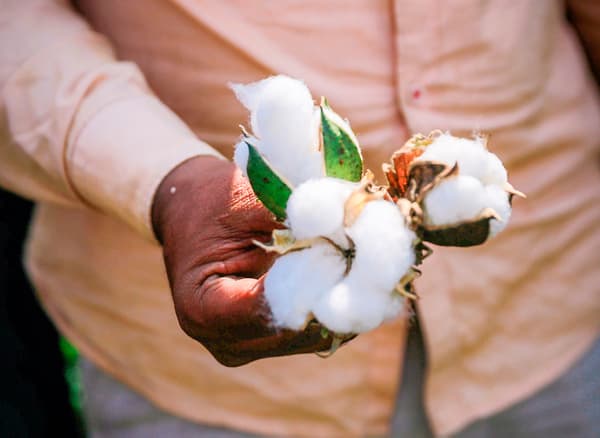 A short and engaging film about how IKEA is working to transform the cotton industry together with partners, to make it more sustainable, and how IKEA has 100% cotton from more sustainable sources in all their products since 2015.