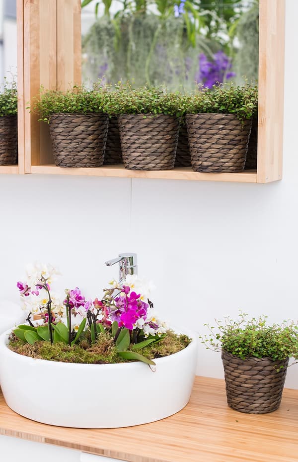 A sideboard with large plant pot and potted plant.