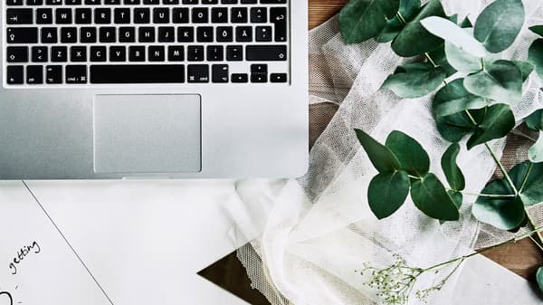 A silver laptop, white paper, off-white mesh textile, and a eucalyptus branch are all laid out on a wooden surface.