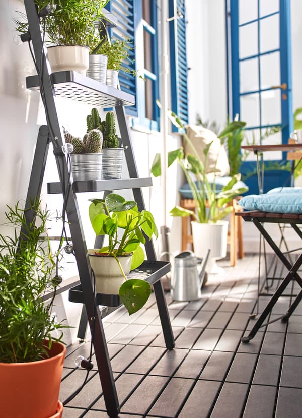 A slanted black metal plant stand holding potted microgreens.